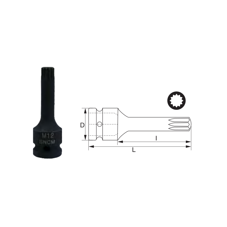 飞鹰12.5mm12角气动批头套筒